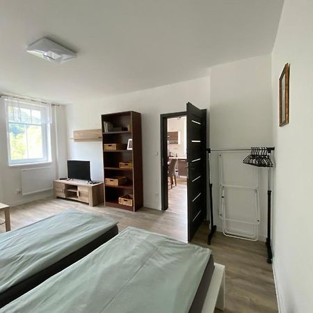 Apartmany U Viaduktu 46 Ústí nad Labem 외부 사진