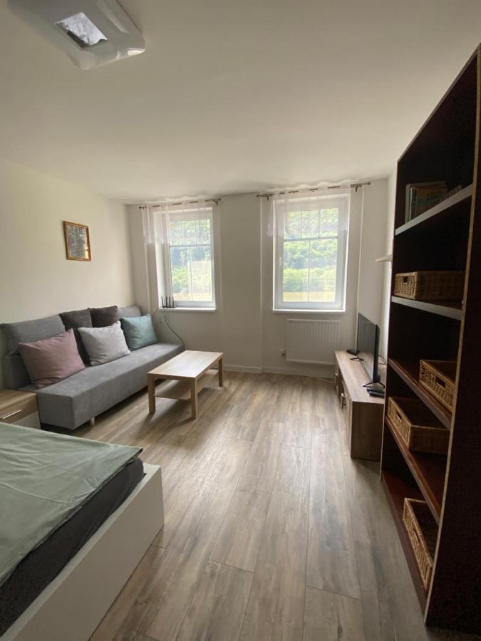 Apartmany U Viaduktu 46 Ústí nad Labem 외부 사진